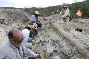 Научниците од целиот свет ги бараат остатоците од диносаурусите на vologda